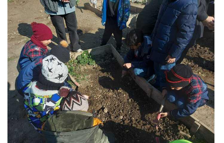 اردو حیاط پونک 3