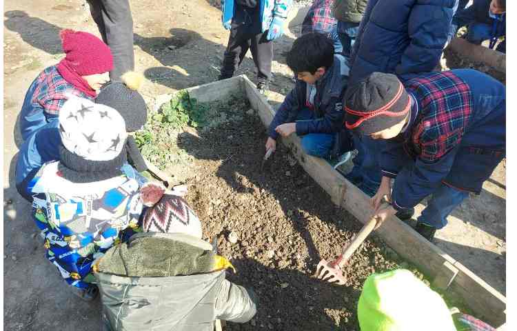 اردو حیاط پونک 4