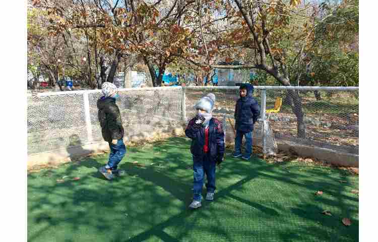 اردو حیاط پونک 5