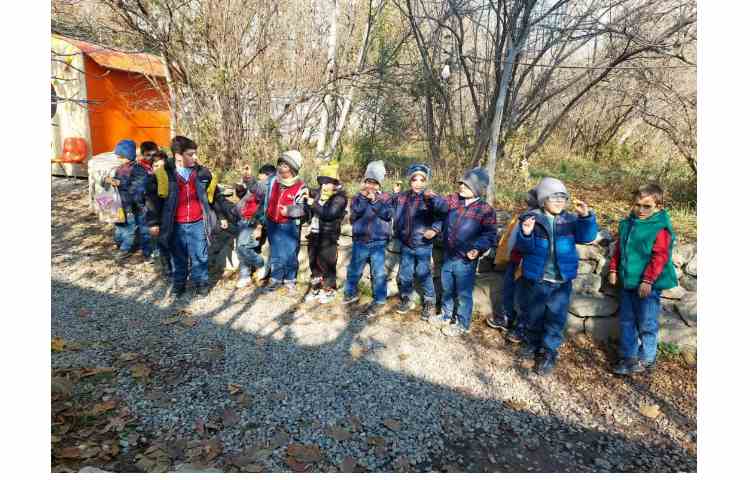 اردو حیاط پونک