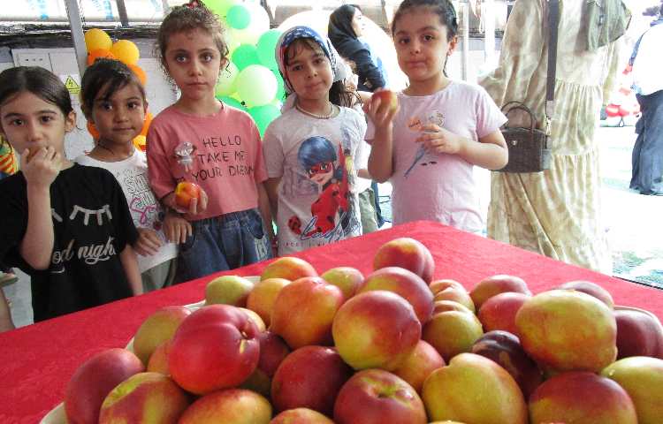 اردو شاد و مفرح روز خیس دوره اول 8