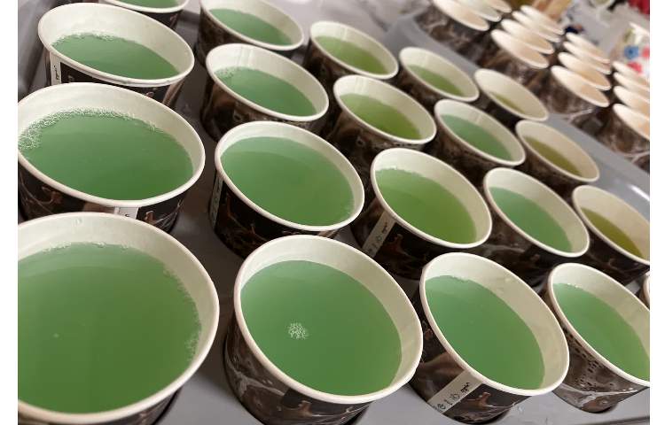 اردو عصرمانی 1