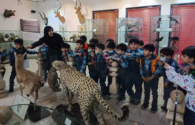 :اردو علمی تفریحی، موزه طبیعت و حیات وحش دارآباد، کلاس بادبادک 1