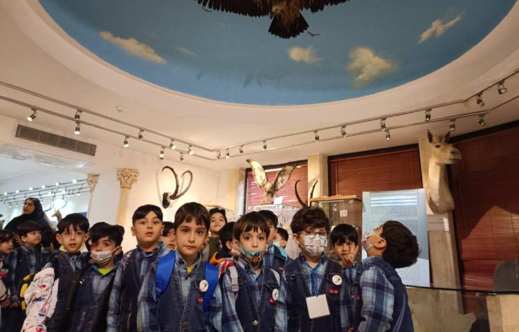 :اردو علمی تفریحی، موزه طبیعت و حیات وحش دارآباد، کلاس بادبادک 2