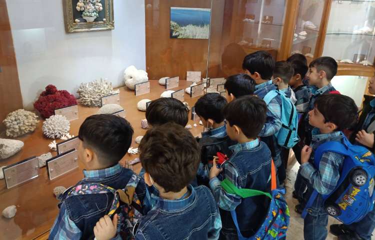 :اردو علمی تفریحی، موزه طبیعت و حیات وحش دارآباد، کلاس بادبادک 8