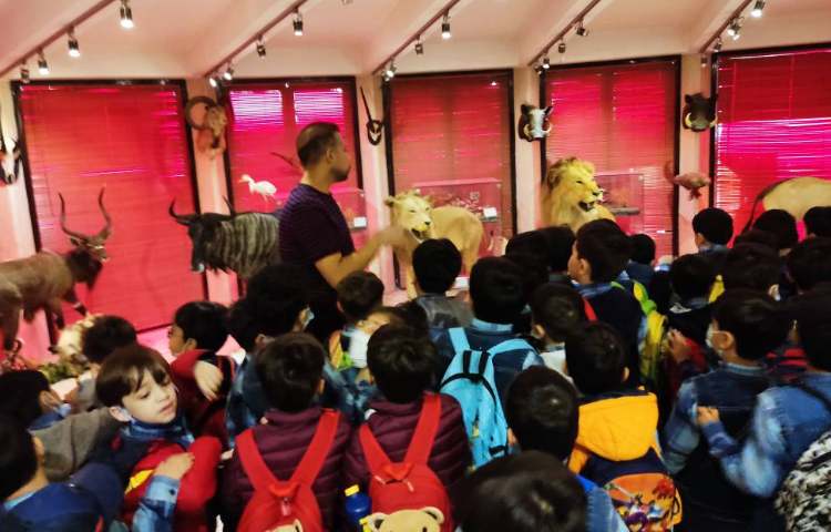 :اردو علمی تفریحی، موزه طبیعت و حیات وحش دارآباد، کلاس شاپرک 1