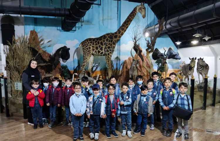 :اردو علمی تفریحی، موزه طبیعت و حیات وحش دارآباد، کلاس شاپرک 2