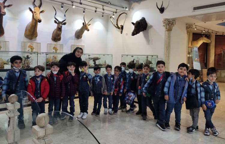 :اردو علمی تفریحی، موزه طبیعت و حیات وحش دارآباد، کلاس شاپرک 3