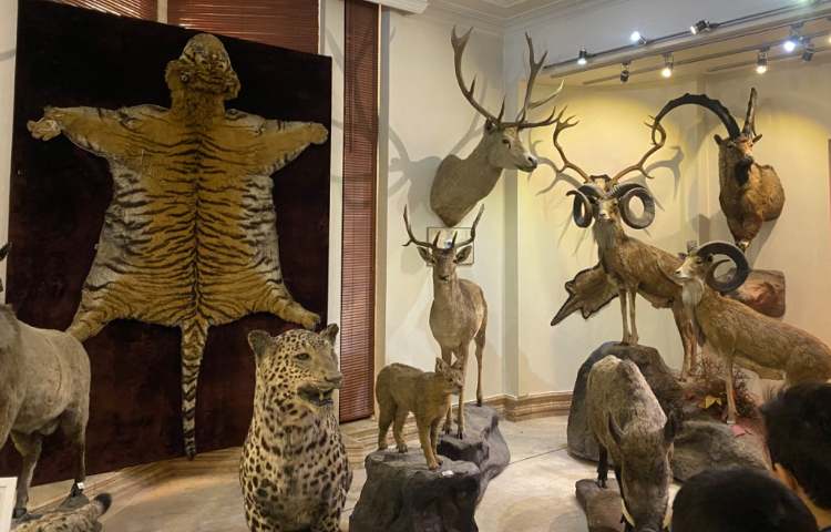 :اردو علمی تفریحی، موزه طبیعت و حیات وحش دارآباد، کلاس قاصدک 4