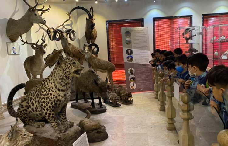 :اردو علمی تفریحی، موزه طبیعت و حیات وحش دارآباد، کلاس قاصدک 7