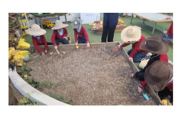 اردو فکربازیا باغ کتاب 6