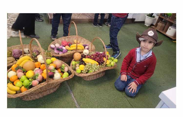 اردو فکربازیا باغ کتاب 7