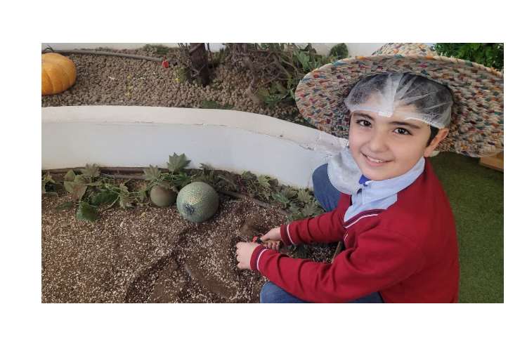 اردو فکربازیا باغ کتاب 8