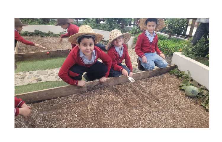 اردو فکربازیا باغ کتاب