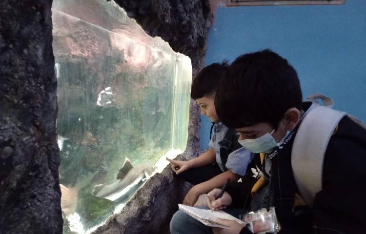 اردو - موزه دارآباد 1