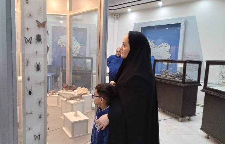 اردو - موزه دارآباد 2