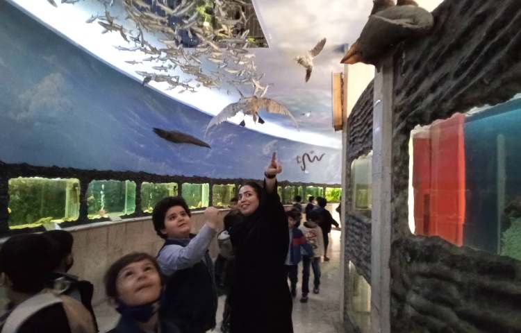 اردو - موزه دارآباد 3