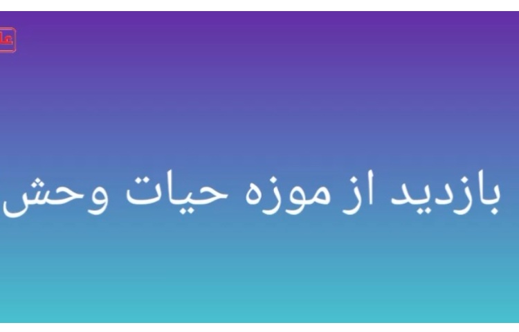 اردو - موزه دارآباد