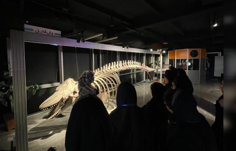 اردو های هفته ملی علوم 3