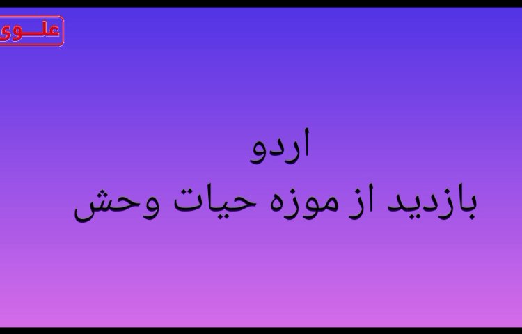 اردو ی تفریحی 1