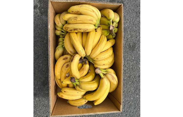 ارسال میان وعده دانش آموزان به مرکز خیریه کودکان استثنایی 3