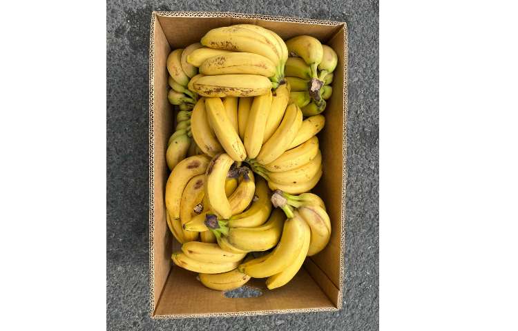 ارسال میان وعده دانش آموزان به مرکز خیریه کودکان استثنایی 9