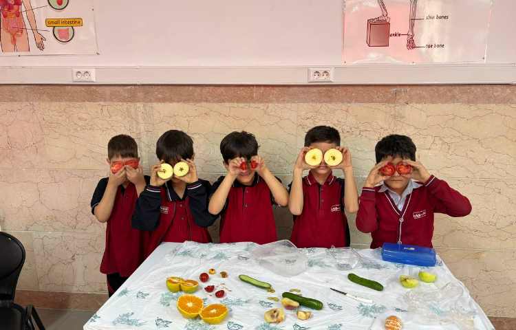 ازمایشگاه مبحث مشاهده 2