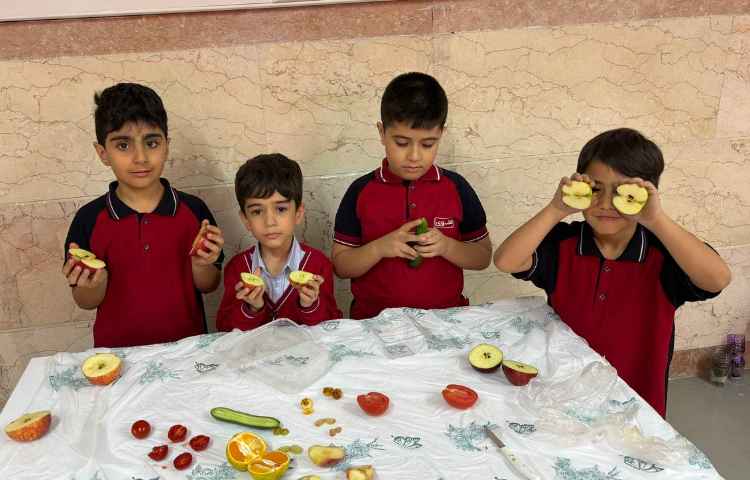 ازمایشگاه مبحث مشاهده 3