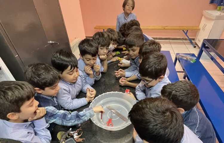 ازمایش سبک و‌سنگین درس علوم 1