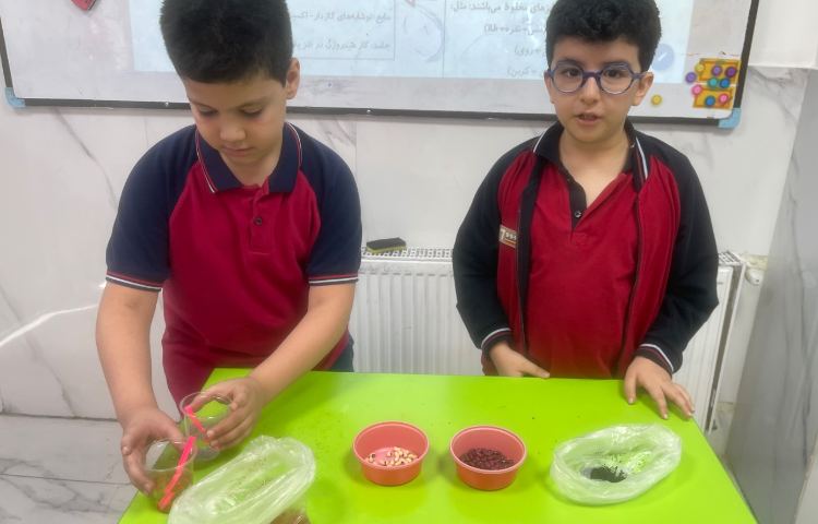 ازمایش علوم اشنایی با محلول و مخلوط و تفاوت انها 3
