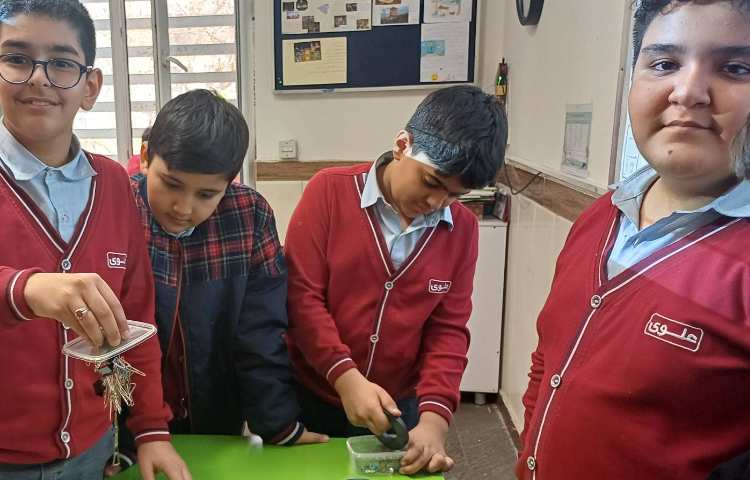 ازمایش قطب های آهن ربا 2