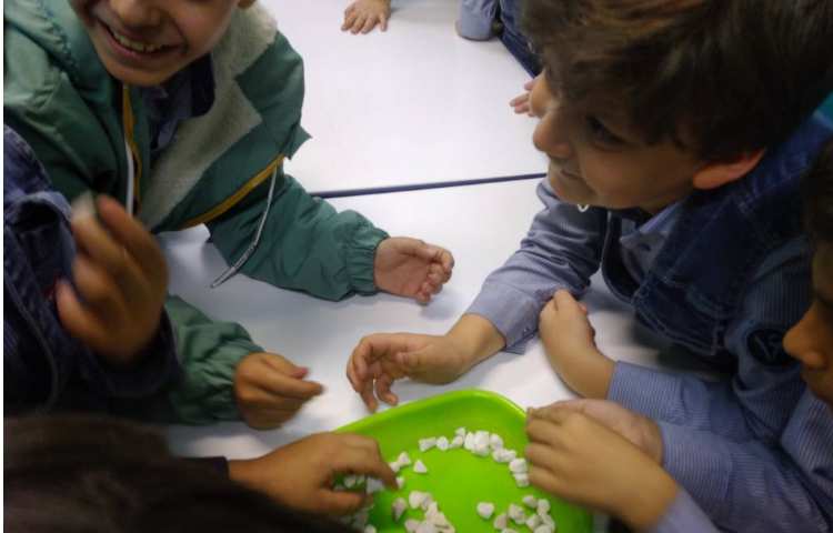 ازمایش های فصل 5 علوم 5