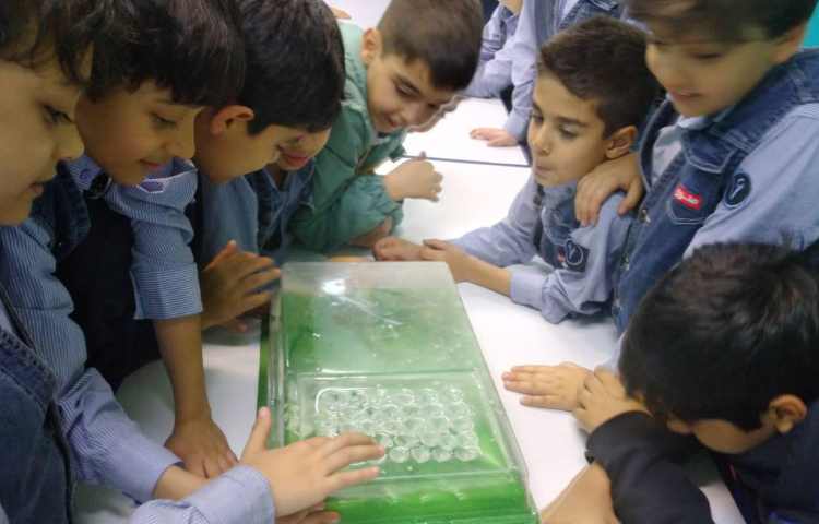 ازمایش های فصل 5 علوم 6