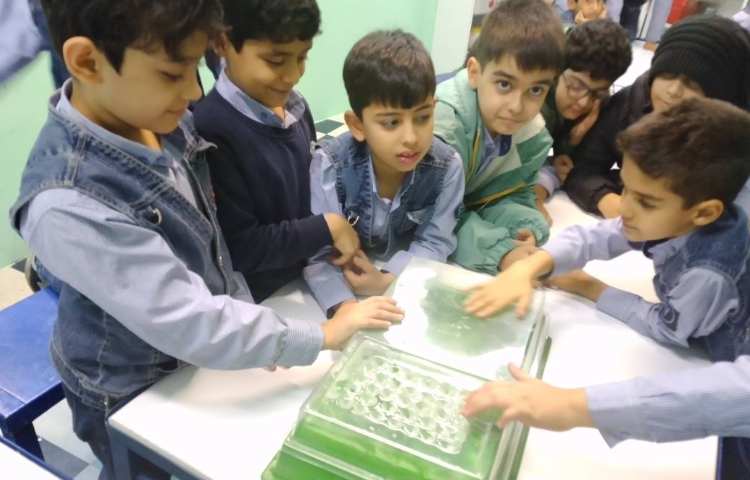 ازمایش های فصل 5 علوم 7