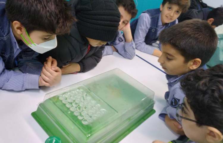 ازمایش های فصل 5 علوم 8