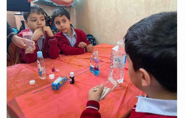 ازمایش گوی بازیگوش 1