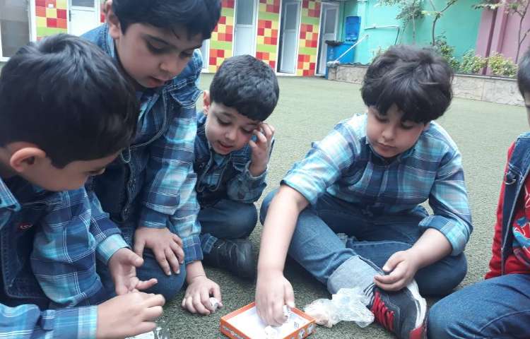 :از رشد تا رشد، پایه اول 14