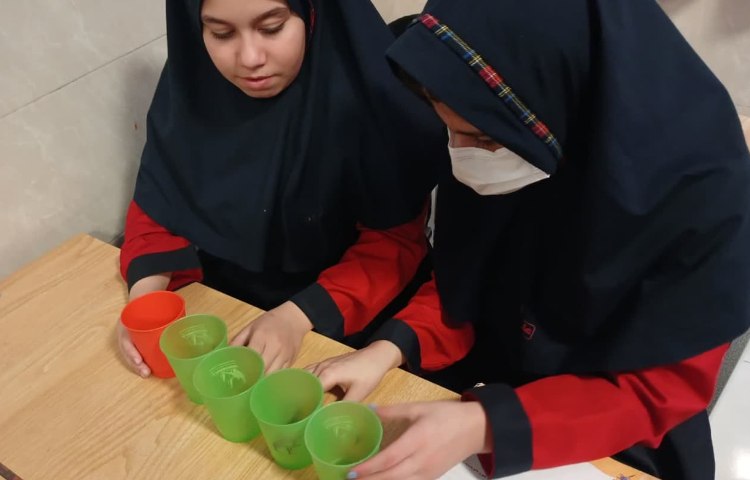 استعداد تحلیلی 5