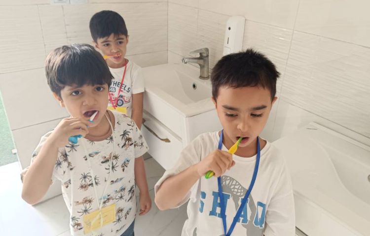 استقلال من مبحث: مسواک زدن و شانه کردن مو 2