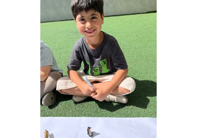 استودیو سرگرمی نقاشی سایه ها 2