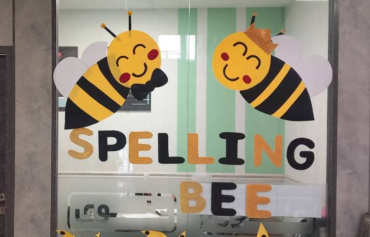 اسپیلینگ بی 14