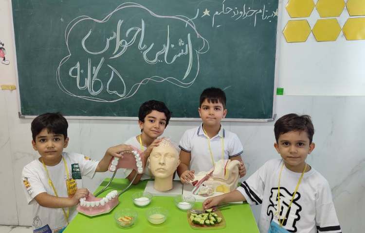 اشنایی با اعضای بدن و حواس پنج‌گانه 2