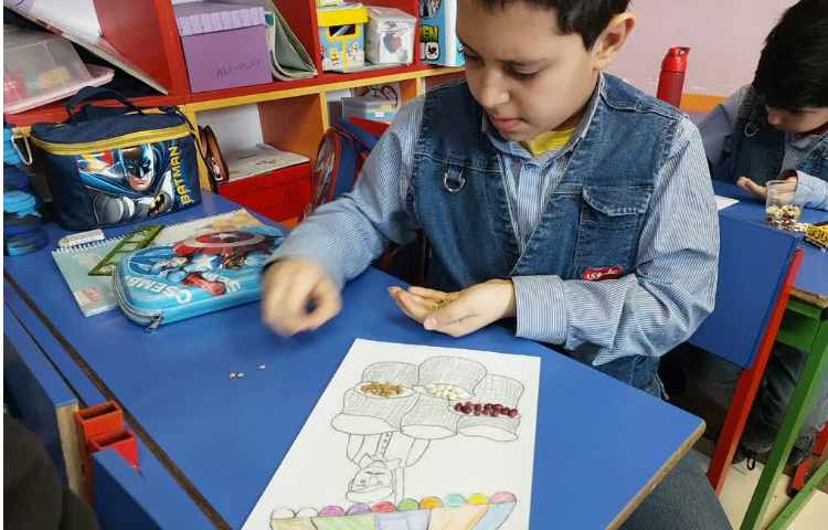 اشنایی با انواع دانه ها 1