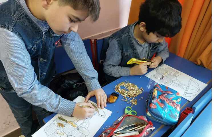 اشنایی با انواع دانه ها 2