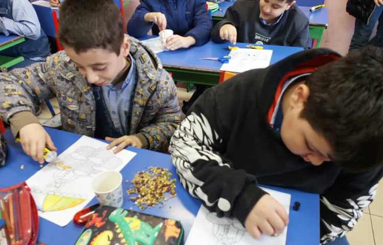 اشنایی با انواع دانه ها 3