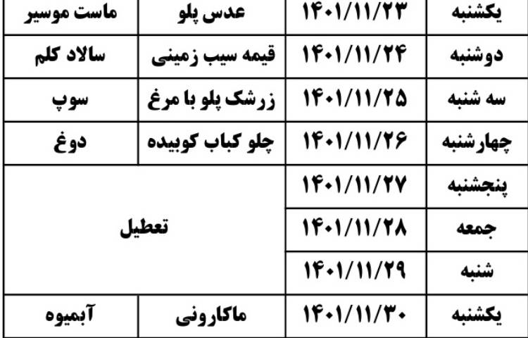 اصلاحیه منو ناهار بهمن ماه 1401 4