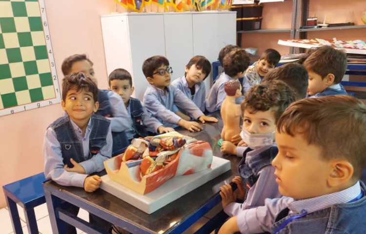 اعضای درونی بدن 1