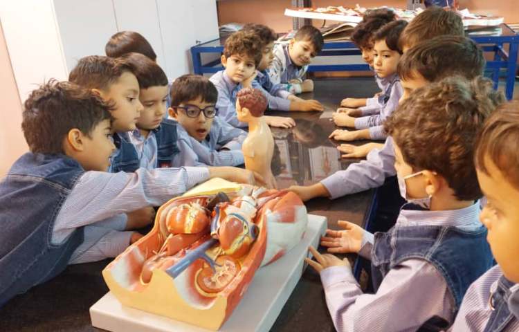 اعضای درونی بدن