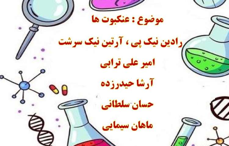 اعلام نتایج پوسترهای هفته ملی علوم دانش آموزان چهارم تا ششم دبستان علوی 5