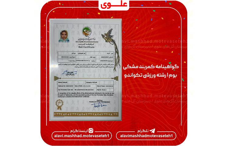 افتخارآفرینی در تکواندو 3